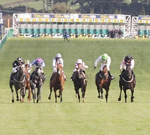 Everything's all set for the best ever William Hill Gold Cup Festival! by The Elite Ayrshire Business Circle https://www.flickr.com/photos/eliteayrshirebusinesscircle/9733304229/ Used under CC BY 2.0 Original work modified-cut by b&d